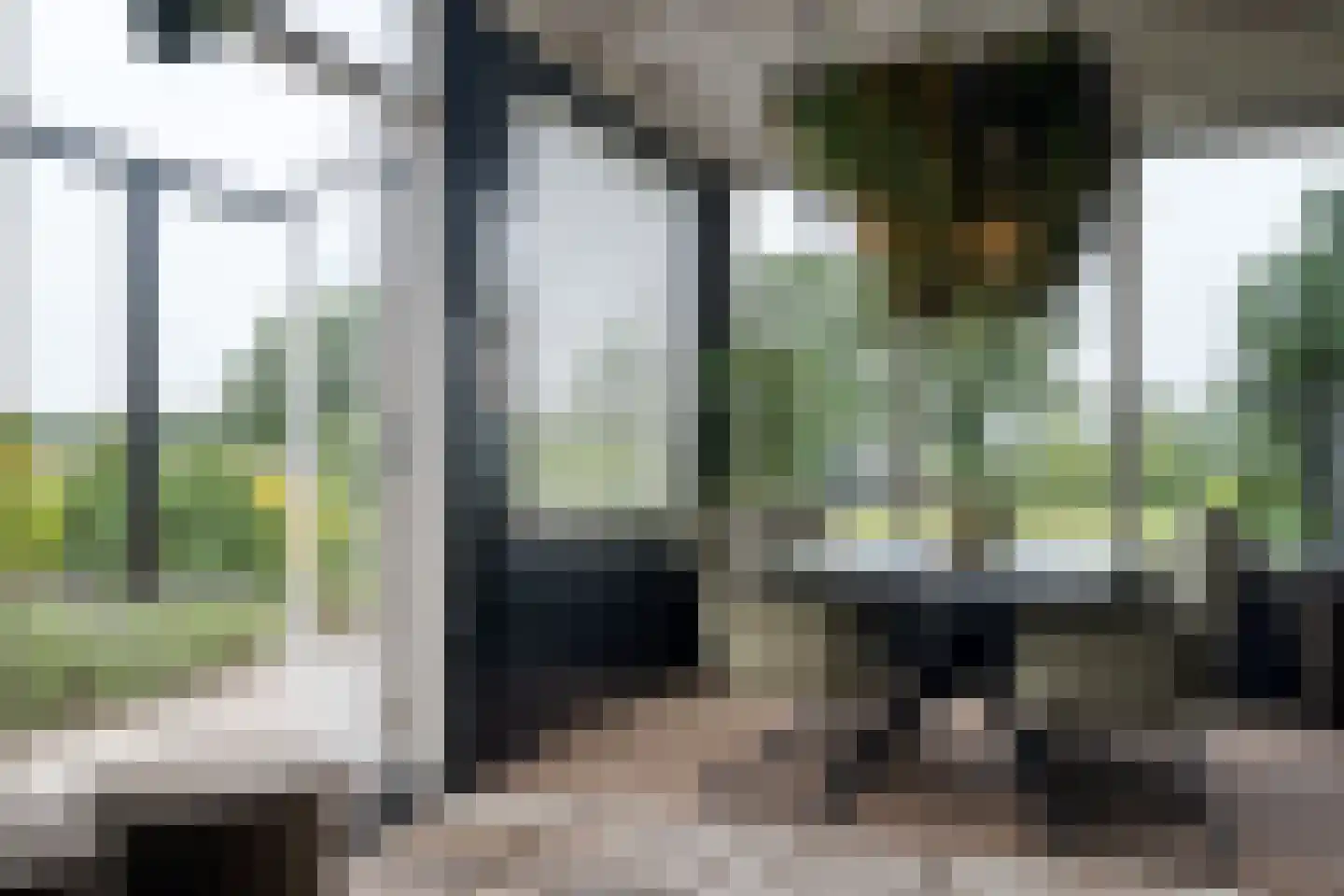 Dammans-Es 12 Dalfsen thumbnail 66