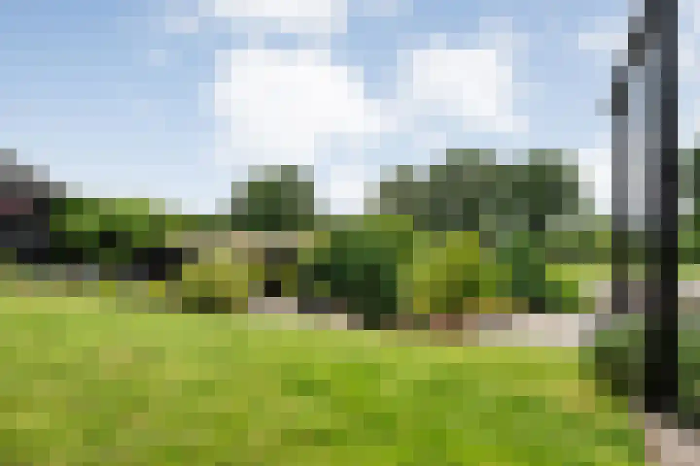 Dammans-Es 12 Dalfsen thumbnail 69