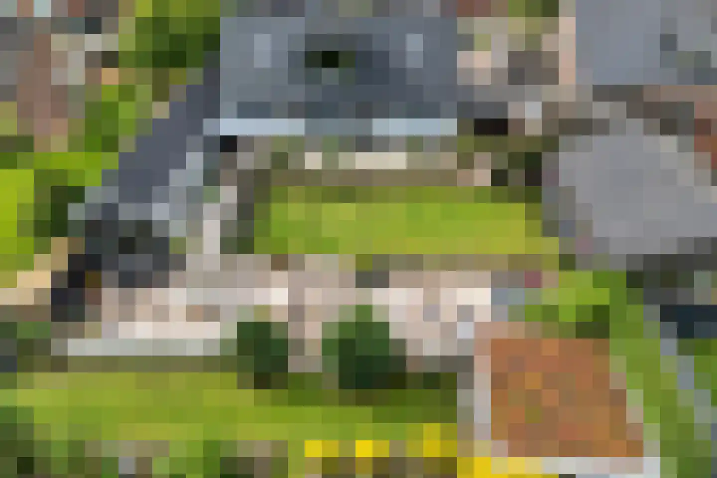 Dammans-Es 12 Dalfsen thumbnail 7