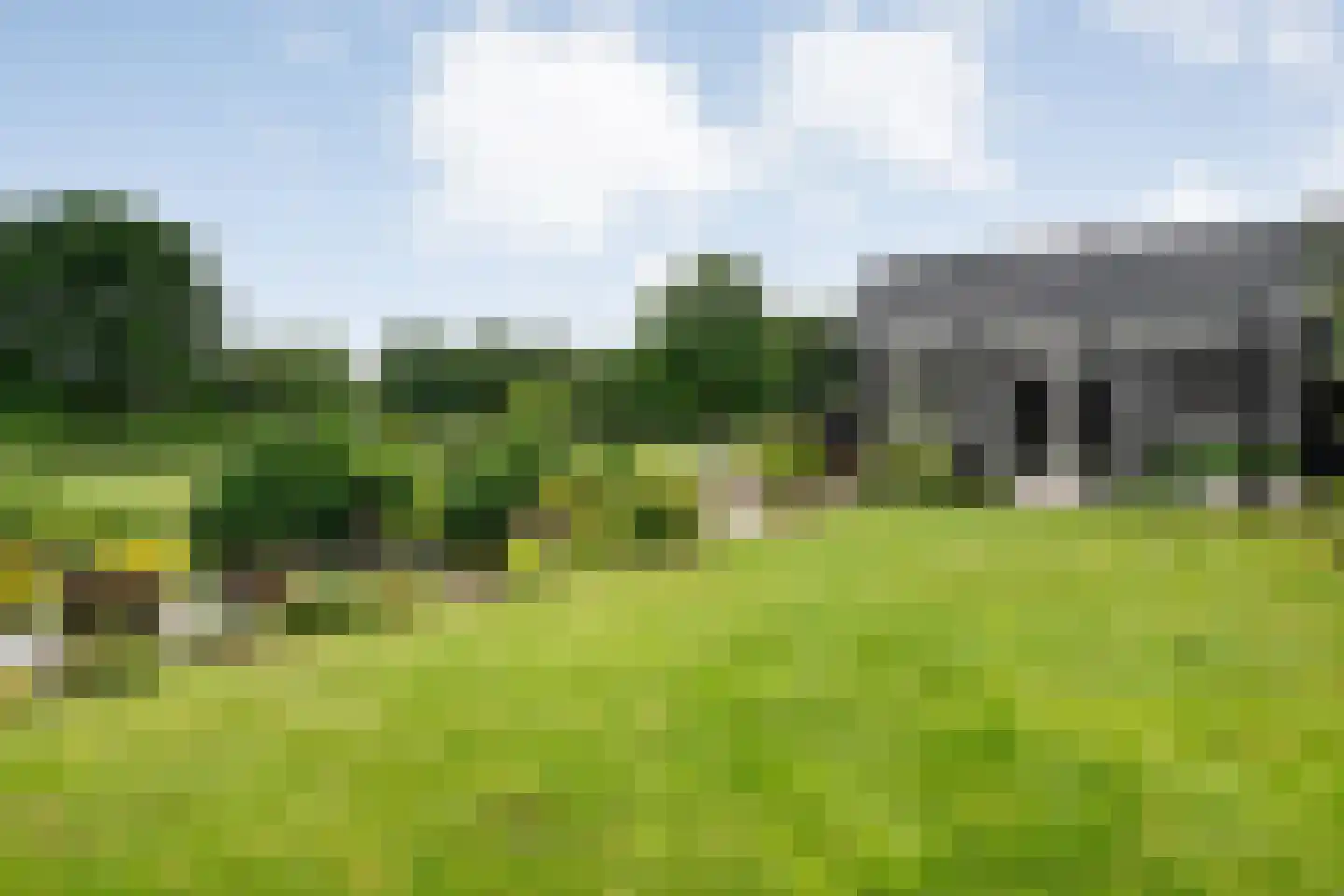 Dammans-Es 12 Dalfsen thumbnail 70