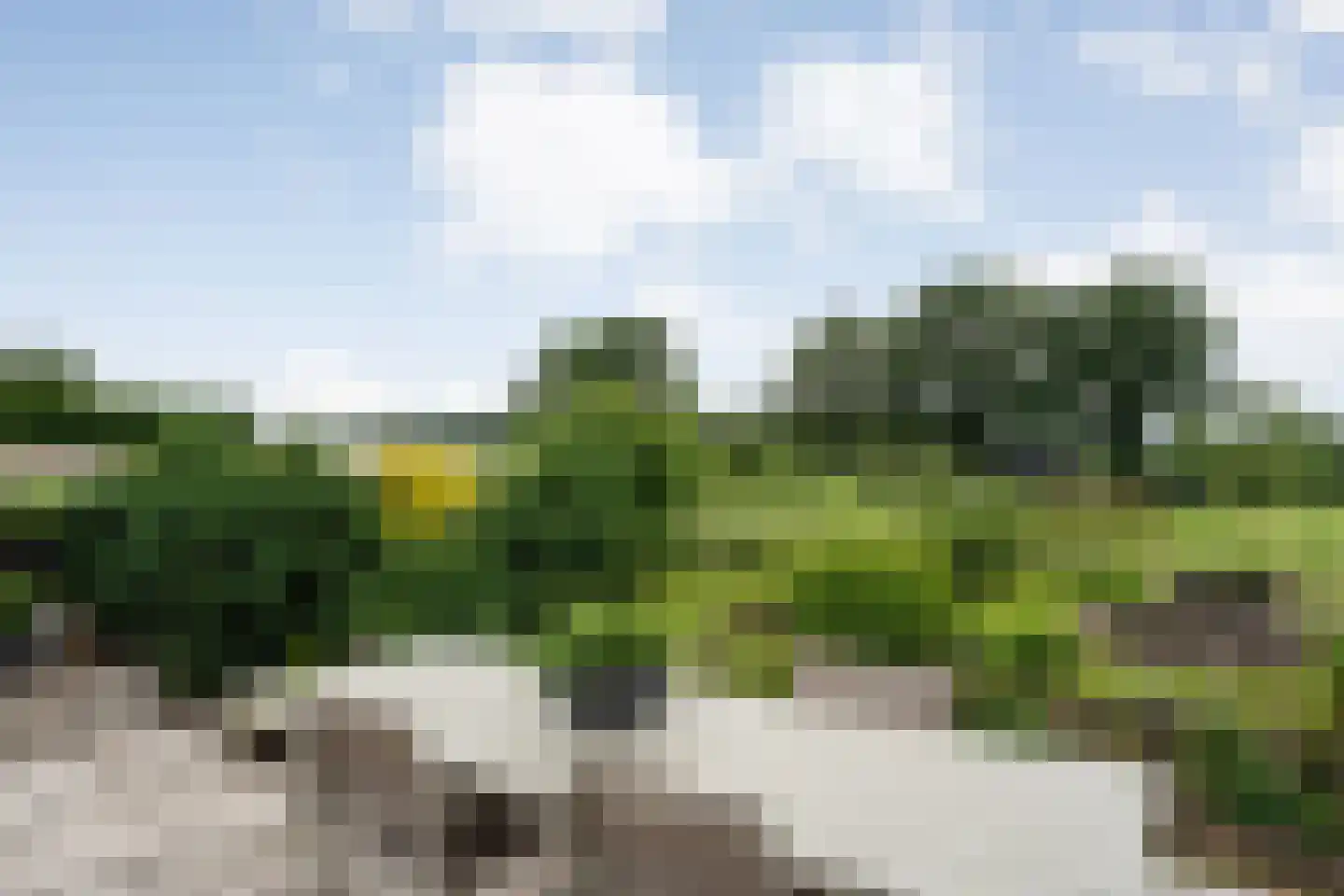 Dammans-Es 12 Dalfsen thumbnail 72