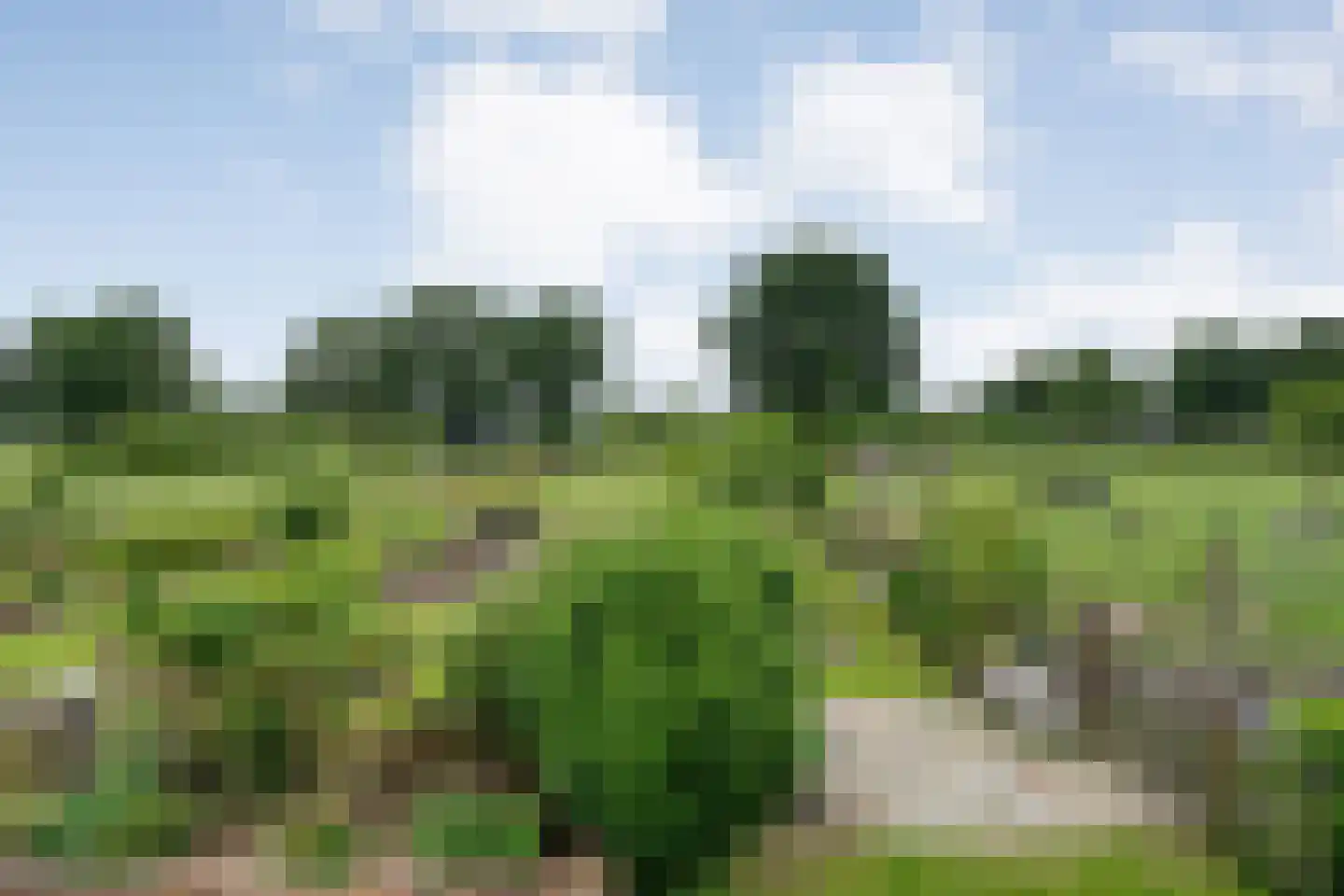 Dammans-Es 12 Dalfsen thumbnail 73
