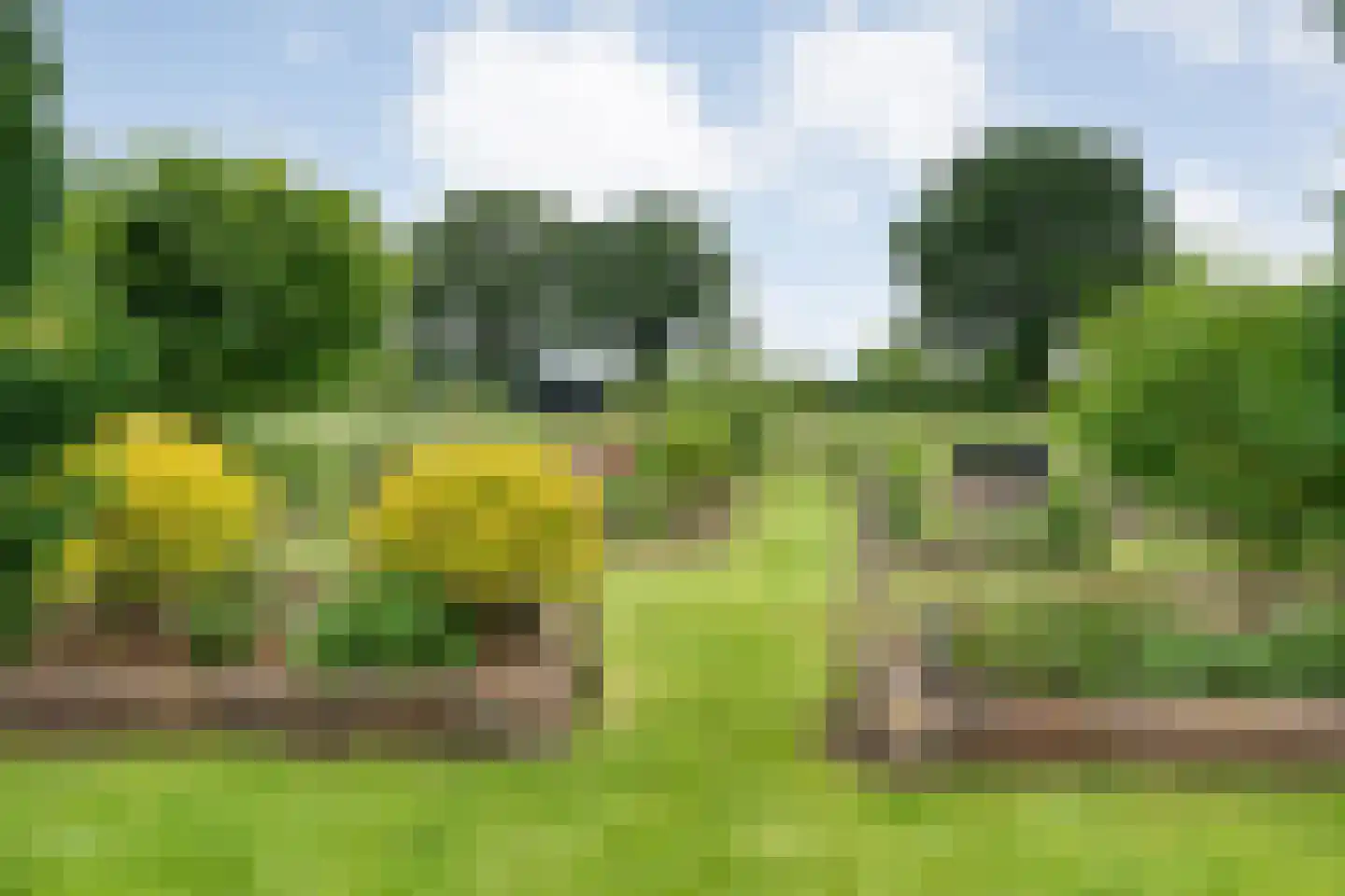 Dammans-Es 12 Dalfsen thumbnail 74