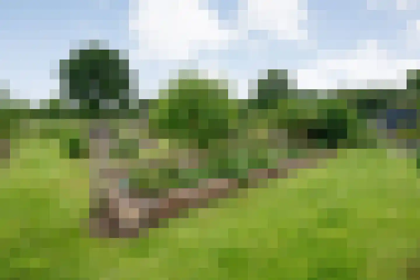 Dammans-Es 12 Dalfsen thumbnail 75