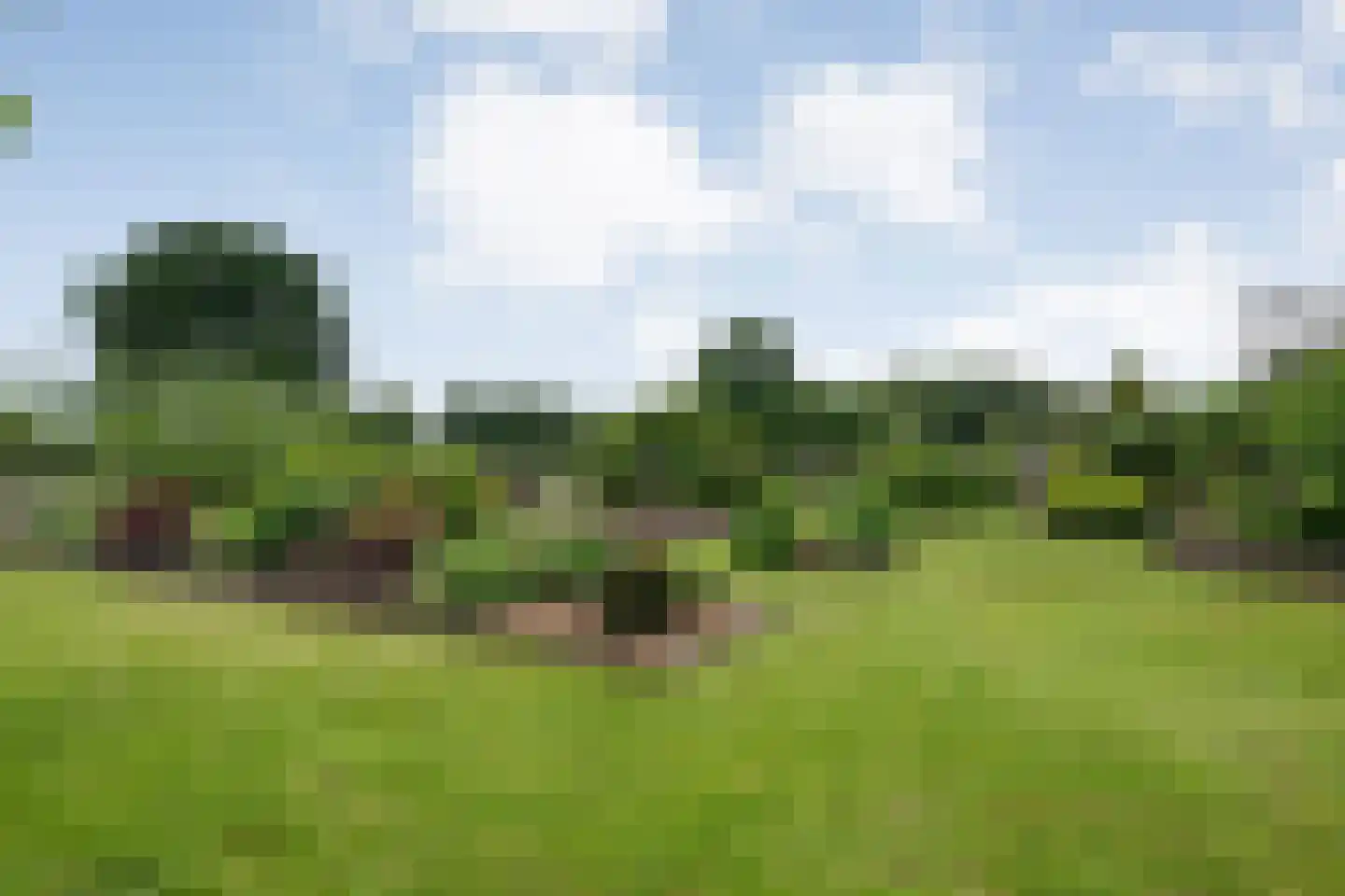 Dammans-Es 12 Dalfsen thumbnail 76