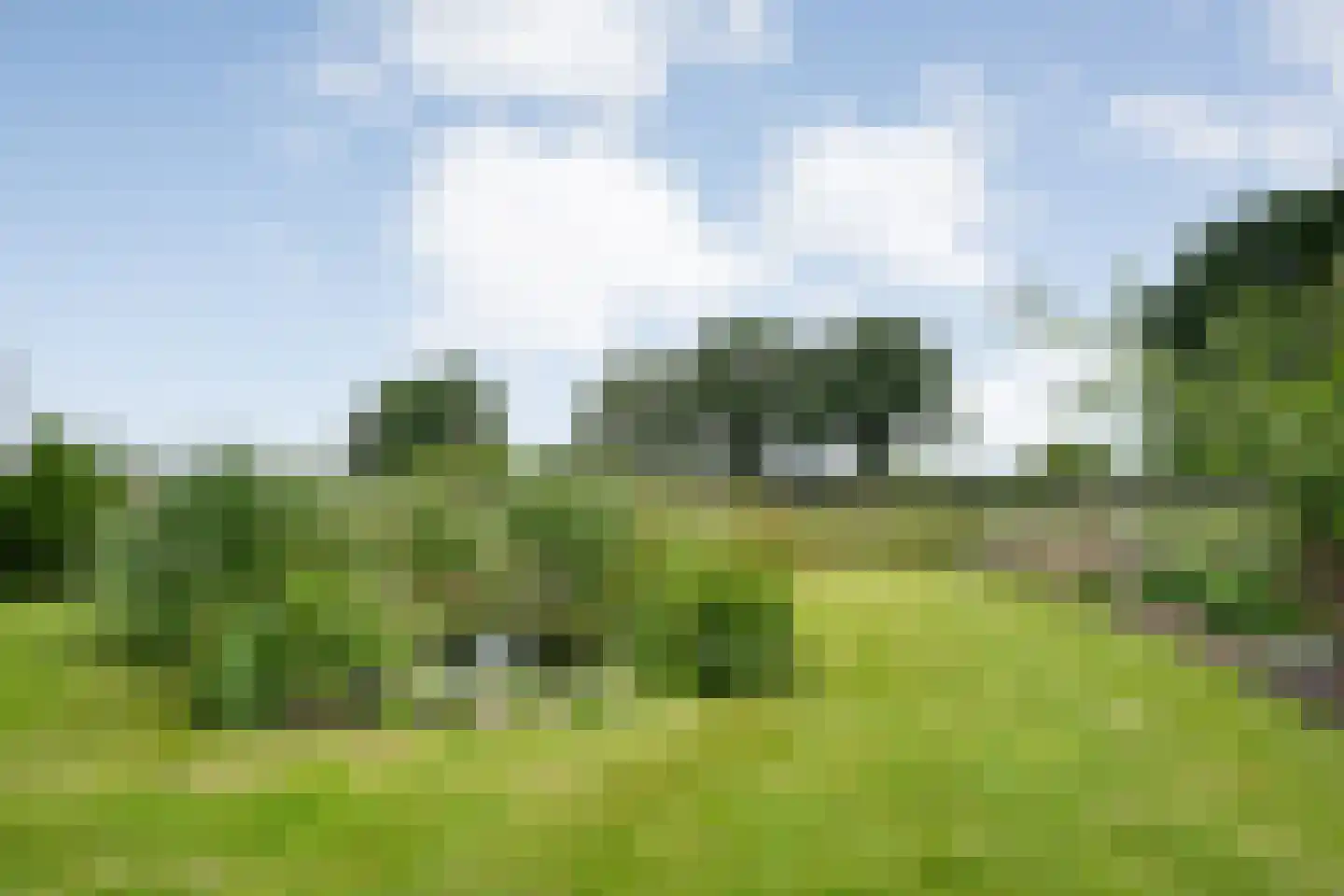 Dammans-Es 12 Dalfsen thumbnail 77