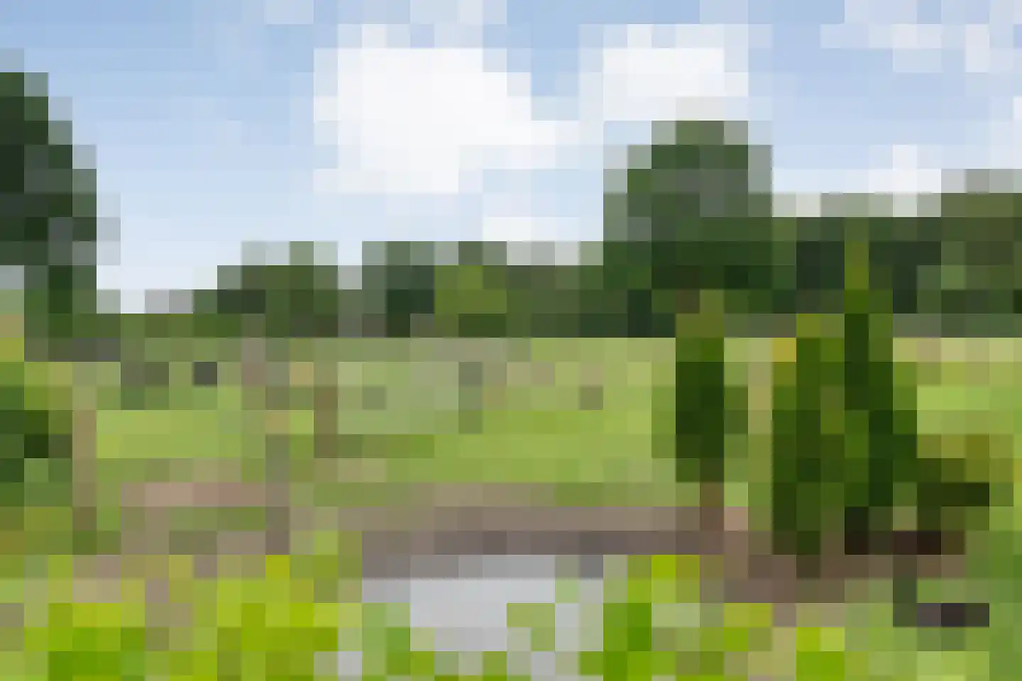 Dammans-Es 12 Dalfsen thumbnail 78