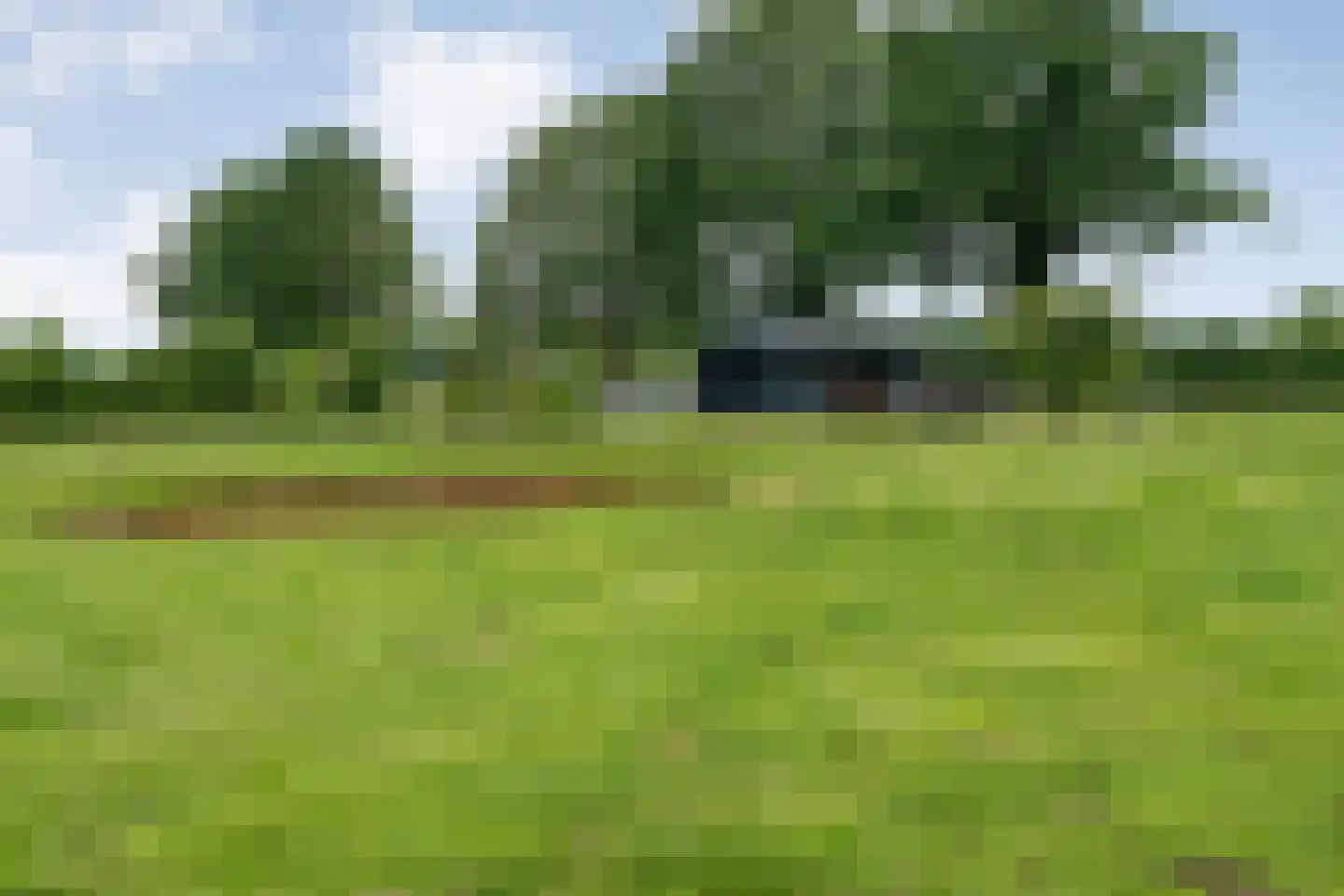 Dammans-Es 12 Dalfsen thumbnail 79