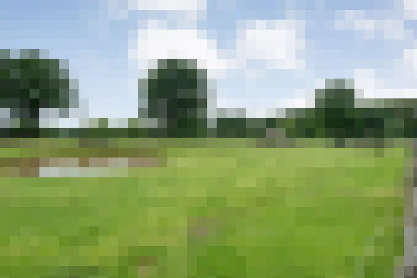 Dammans-Es 12 Dalfsen thumbnail 81