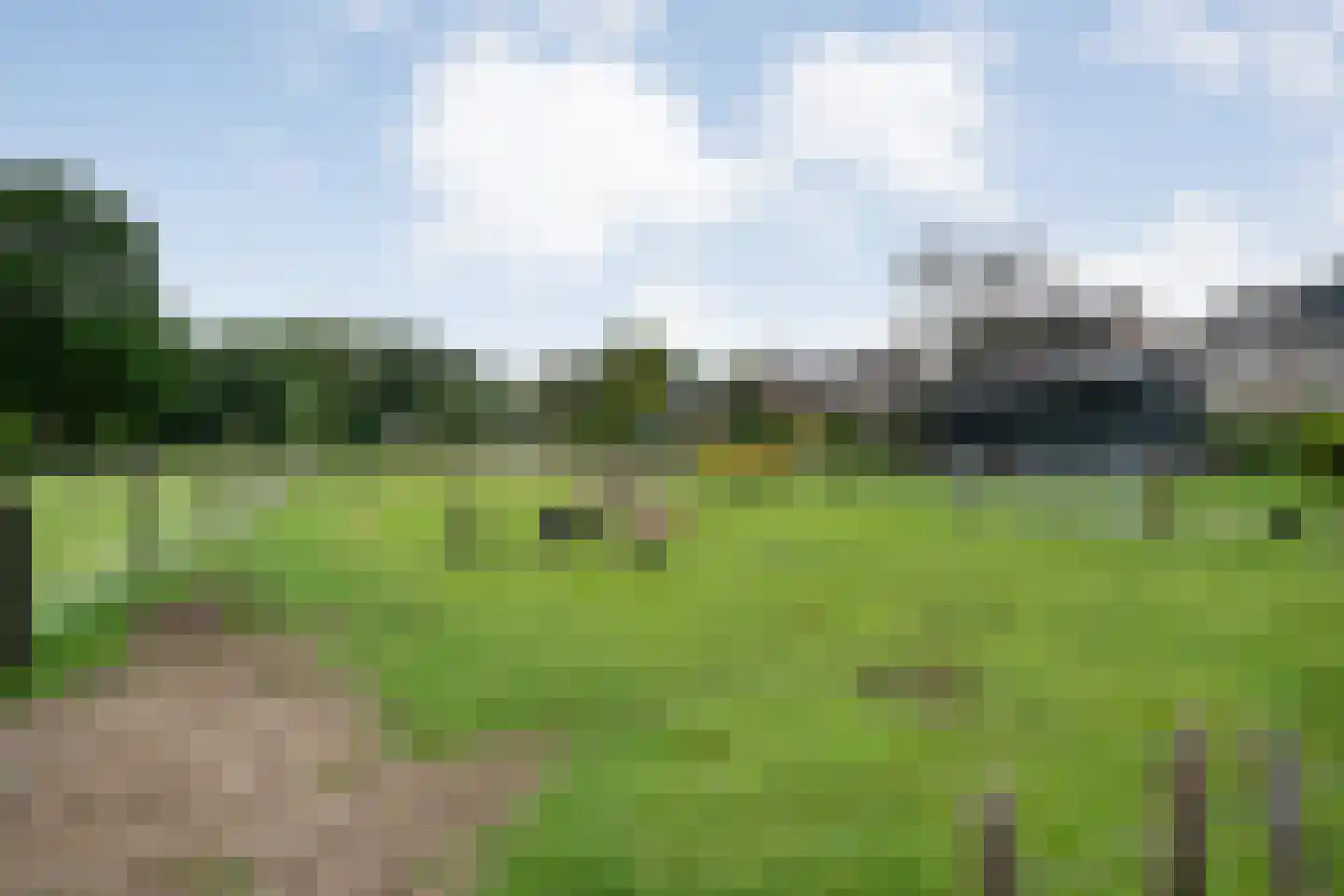 Dammans-Es 12 Dalfsen thumbnail 82