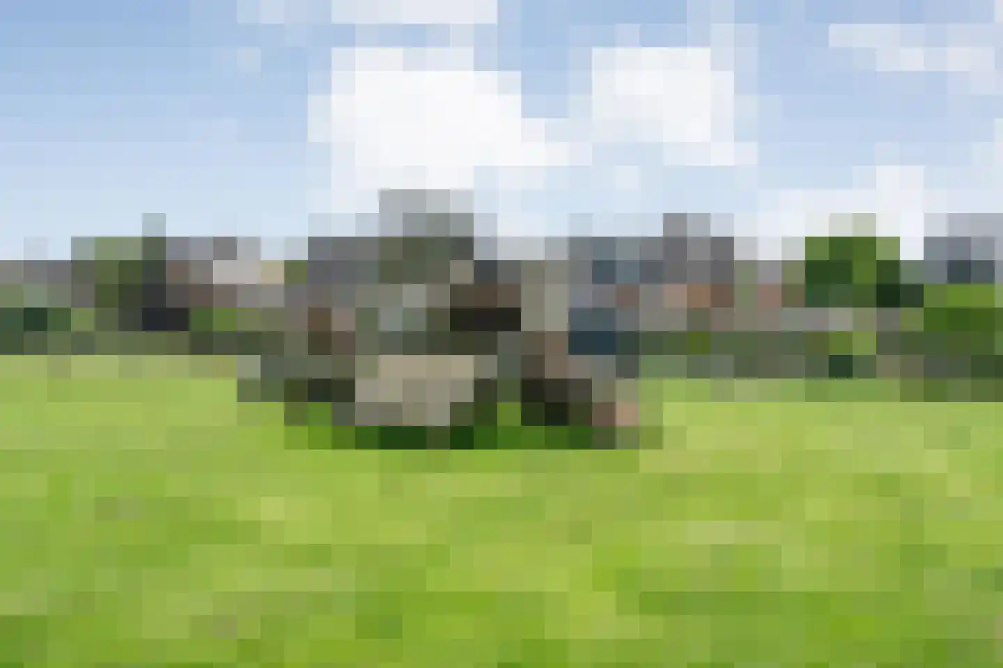 Dammans-Es 12 Dalfsen thumbnail 83