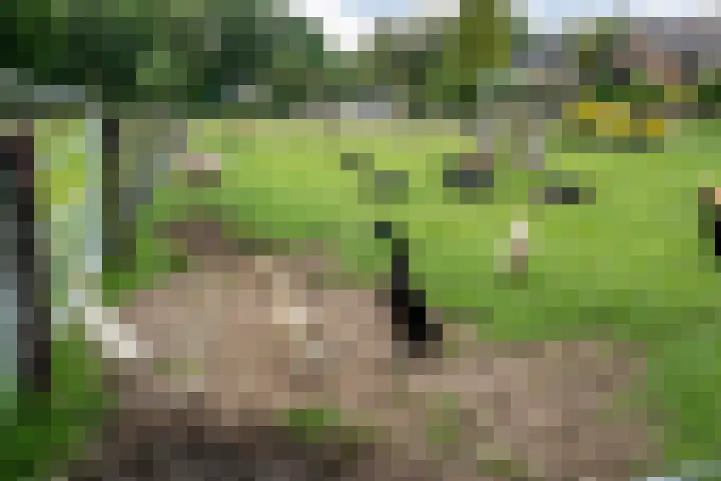 Dammans-Es 12 Dalfsen thumbnail 84