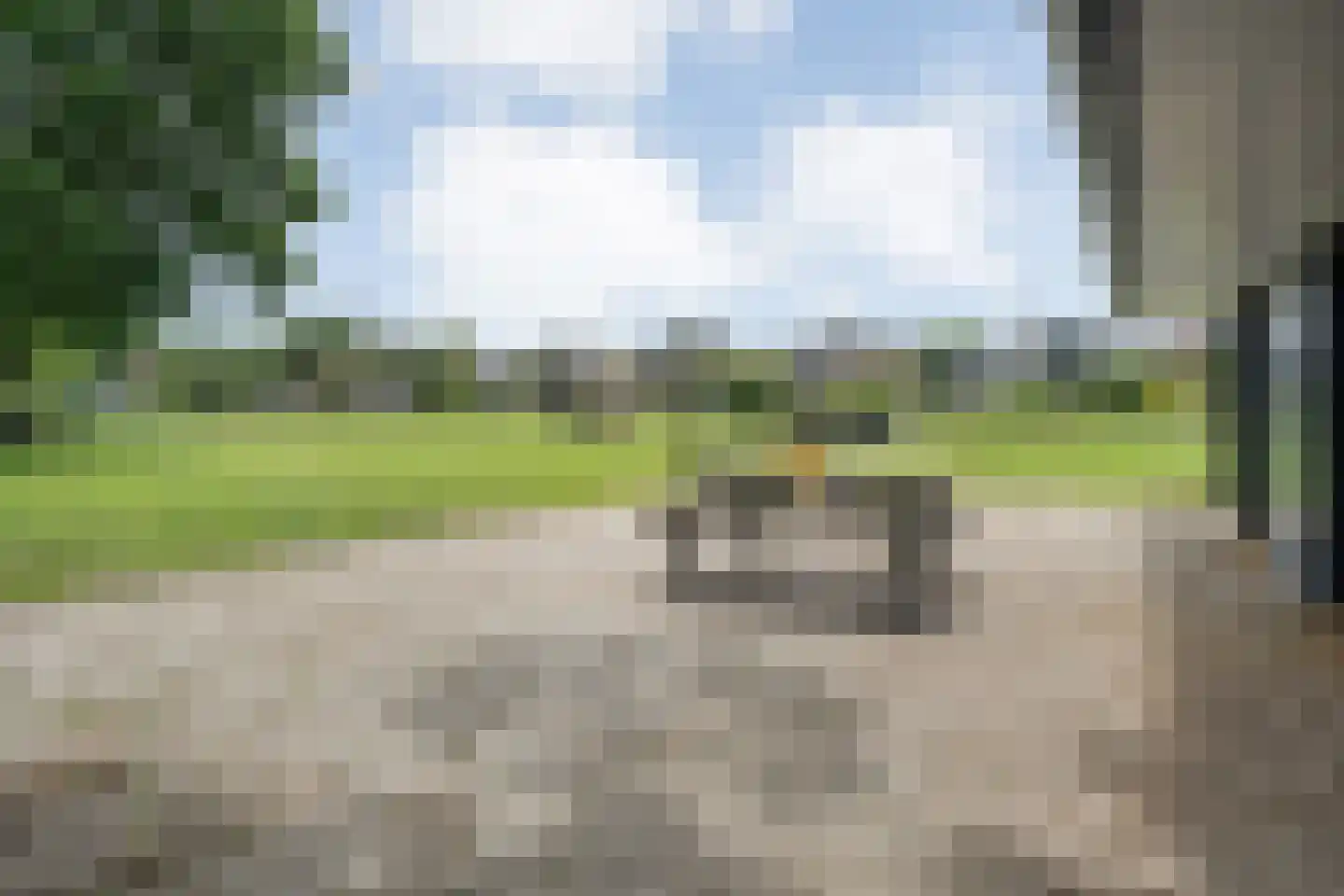 Dammans-Es 12 Dalfsen thumbnail 86