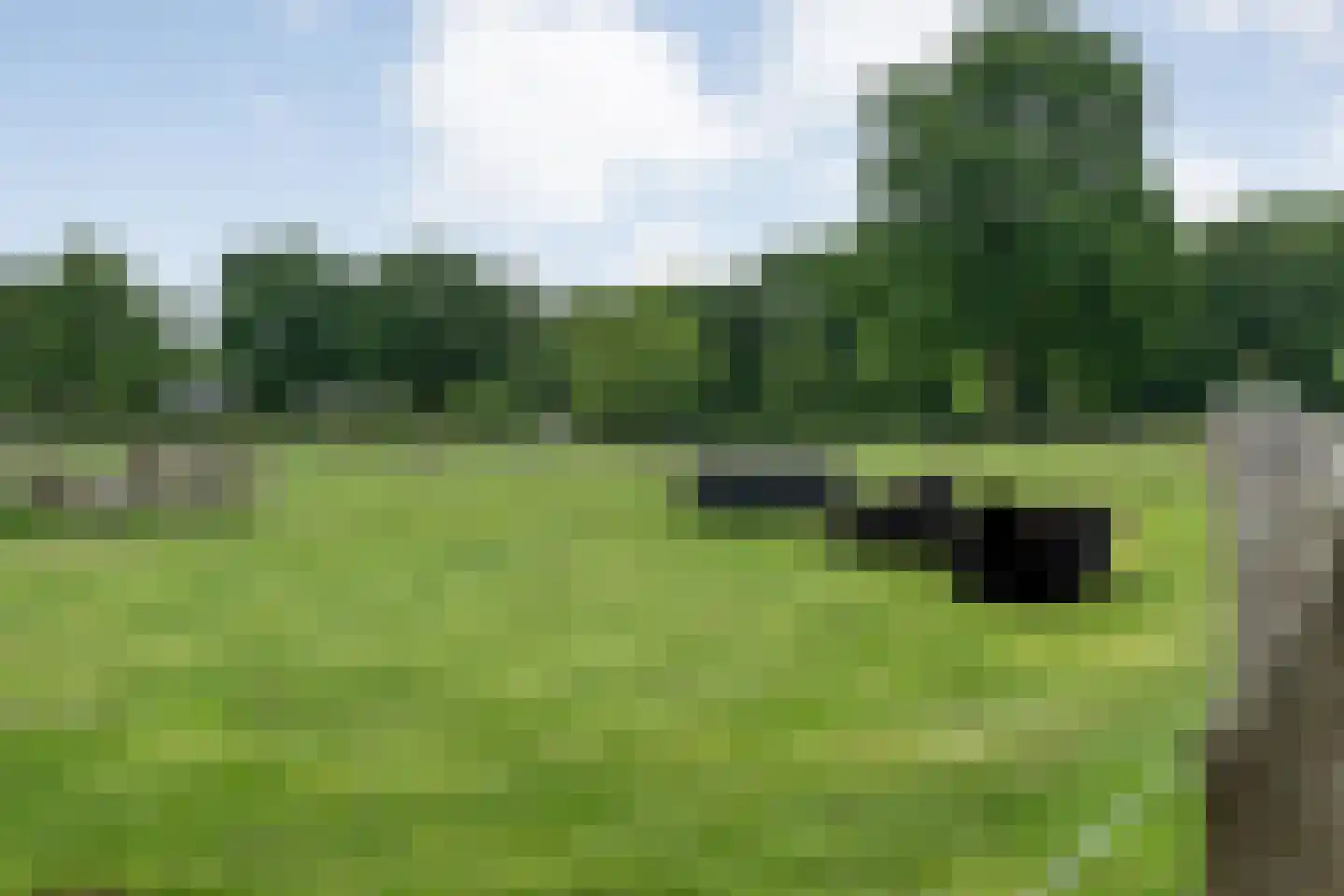 Dammans-Es 12 Dalfsen thumbnail 87