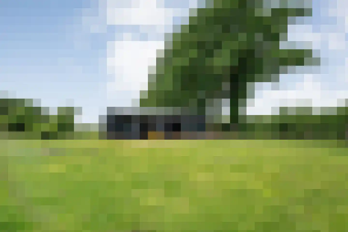Dammans-Es 12 Dalfsen thumbnail 89