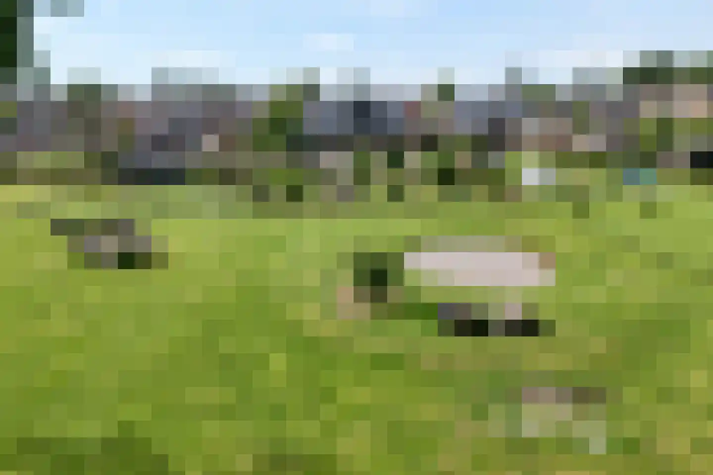 Dammans-Es 12 Dalfsen thumbnail 9