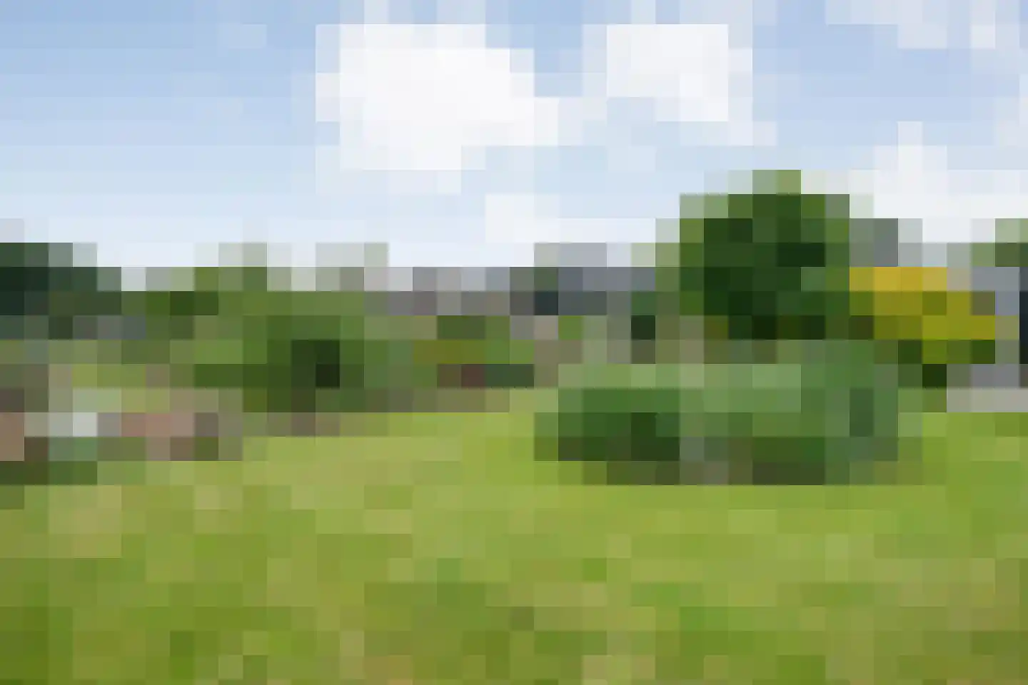 Dammans-Es 12 Dalfsen thumbnail 90