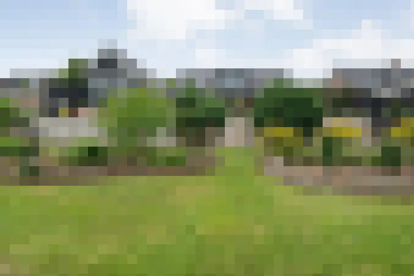 Dammans-Es 12 Dalfsen thumbnail 91