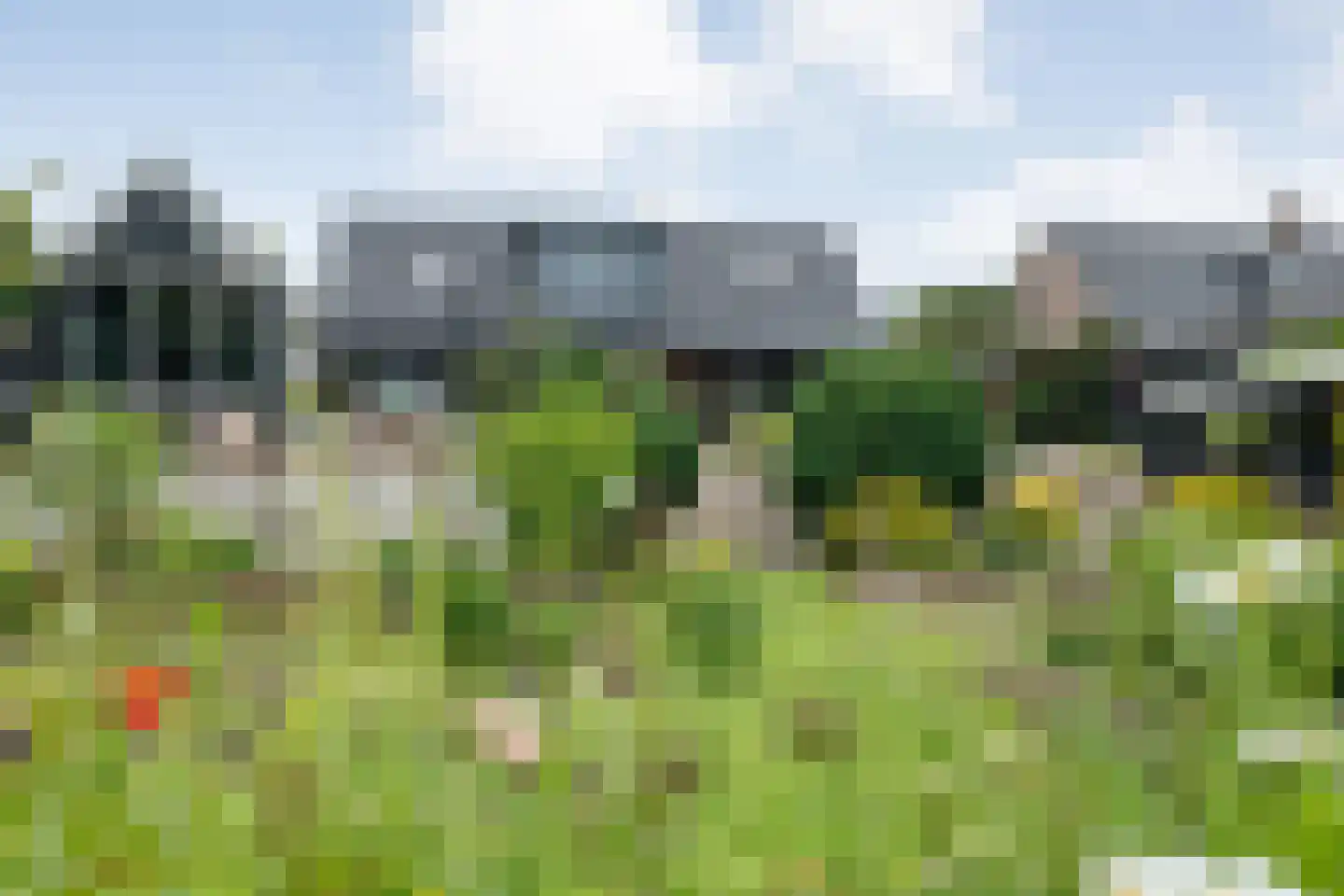 Dammans-Es 12 Dalfsen thumbnail 92
