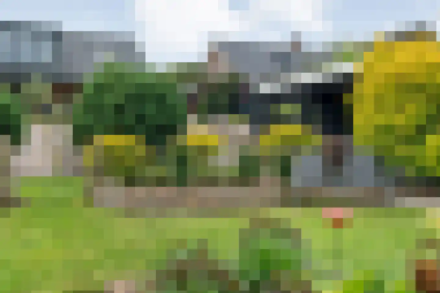 Dammans-Es 12 Dalfsen thumbnail 93