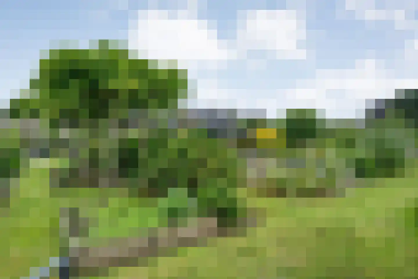 Dammans-Es 12 Dalfsen thumbnail 95