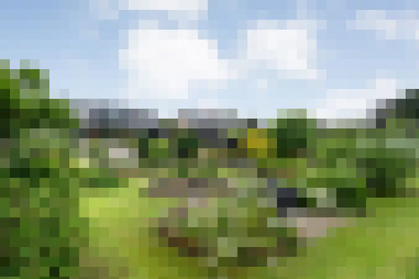 Dammans-Es 12 Dalfsen thumbnail 96