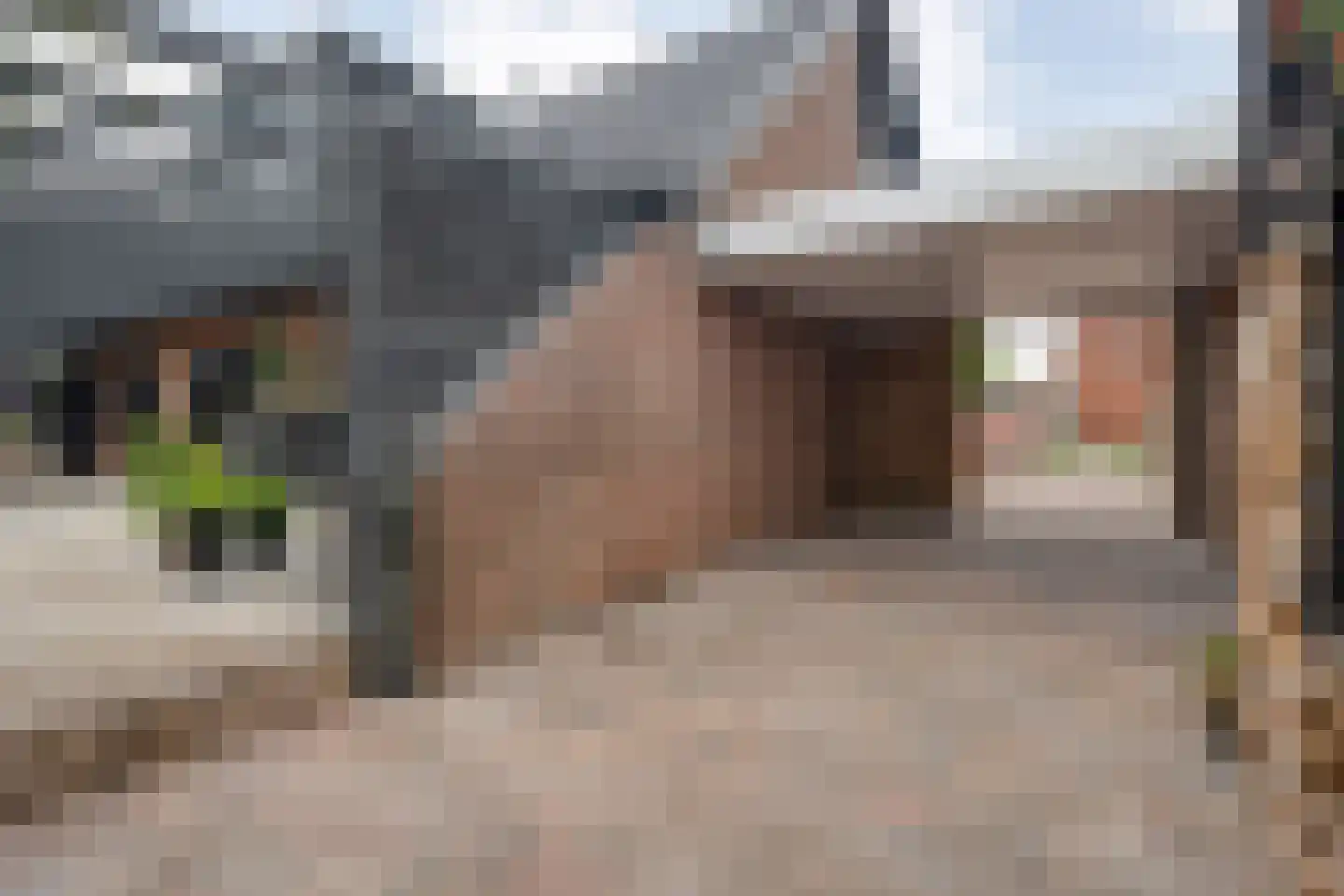 Dammans-Es 12 Dalfsen thumbnail 97