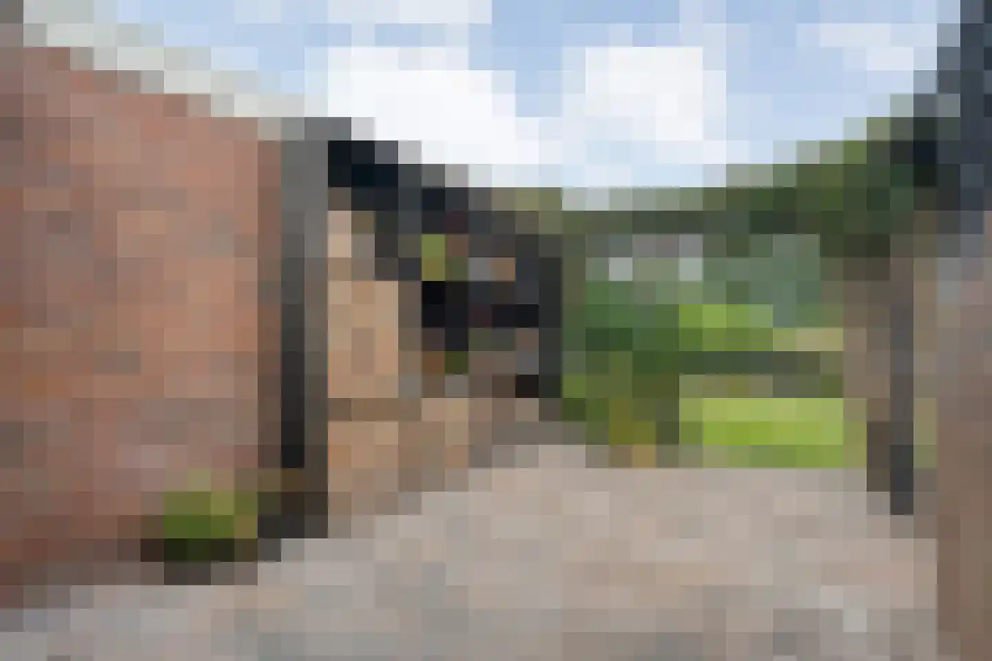 Dammans-Es 12 Dalfsen thumbnail 98
