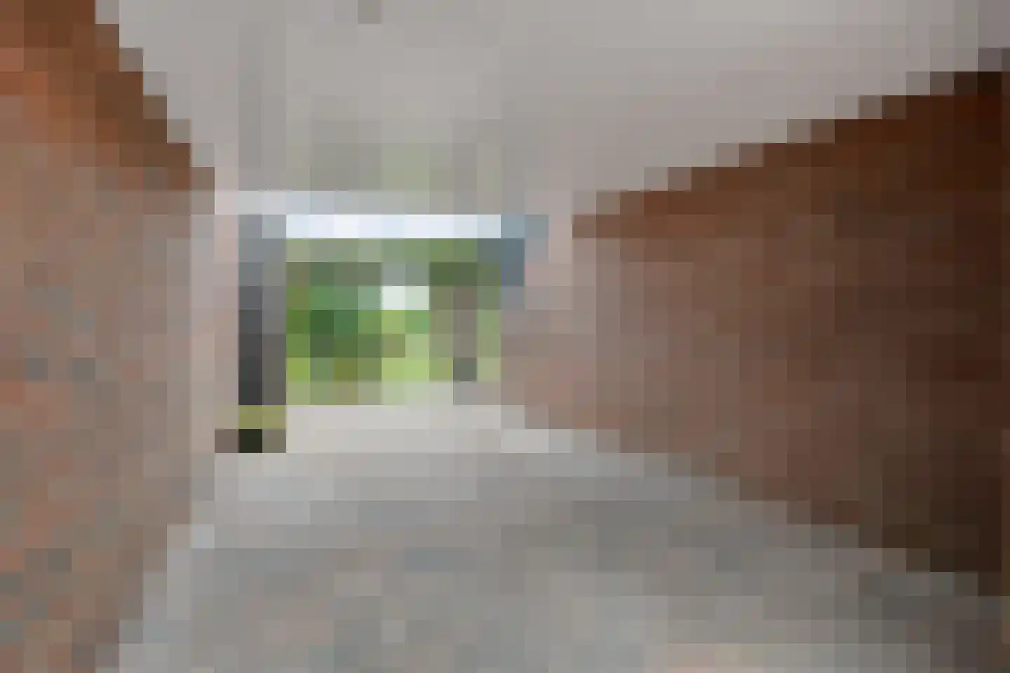 Dammans-Es 12 Dalfsen thumbnail 99
