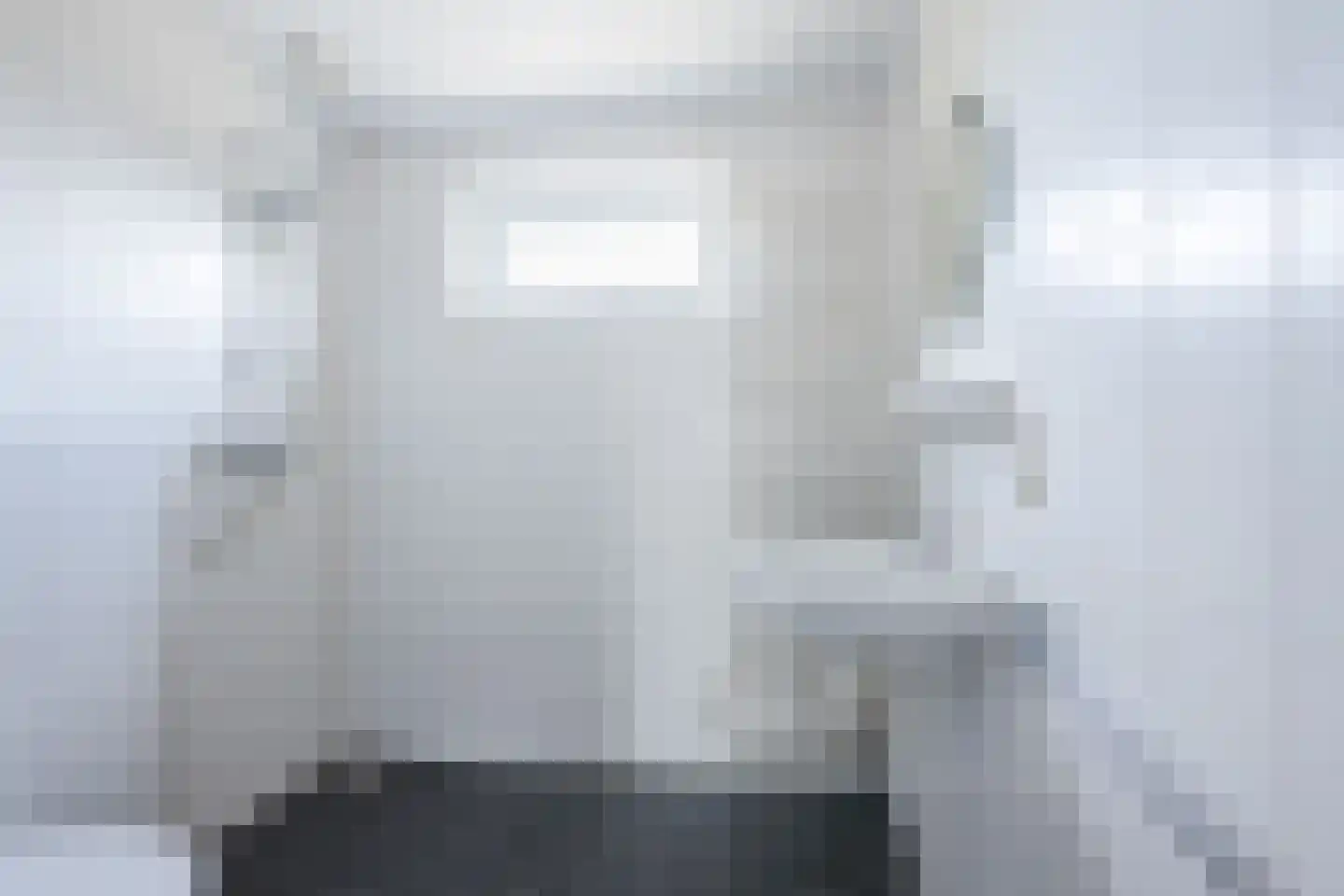 Dammans-Es 13 Dalfsen thumbnail 22
