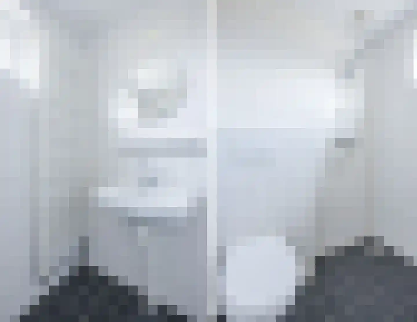Dammans-Es 13 Dalfsen thumbnail 23