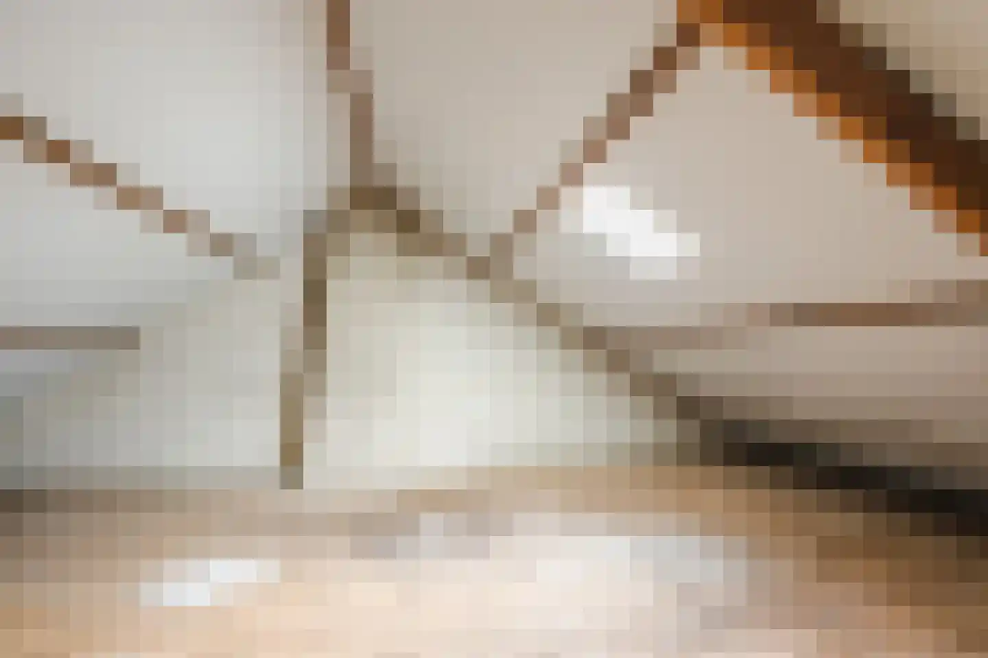 Dammans-Es 13 Dalfsen thumbnail 26