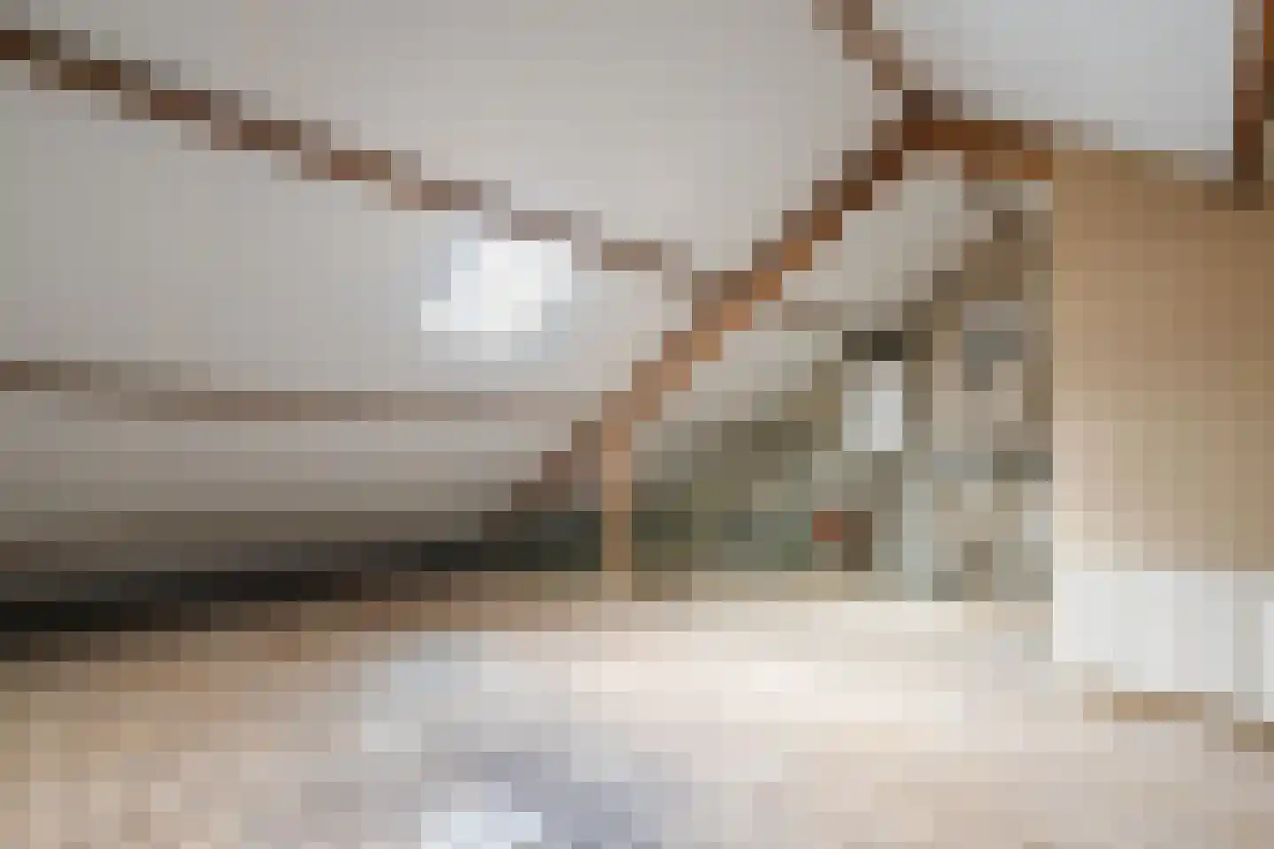 Dammans-Es 13 Dalfsen thumbnail 27