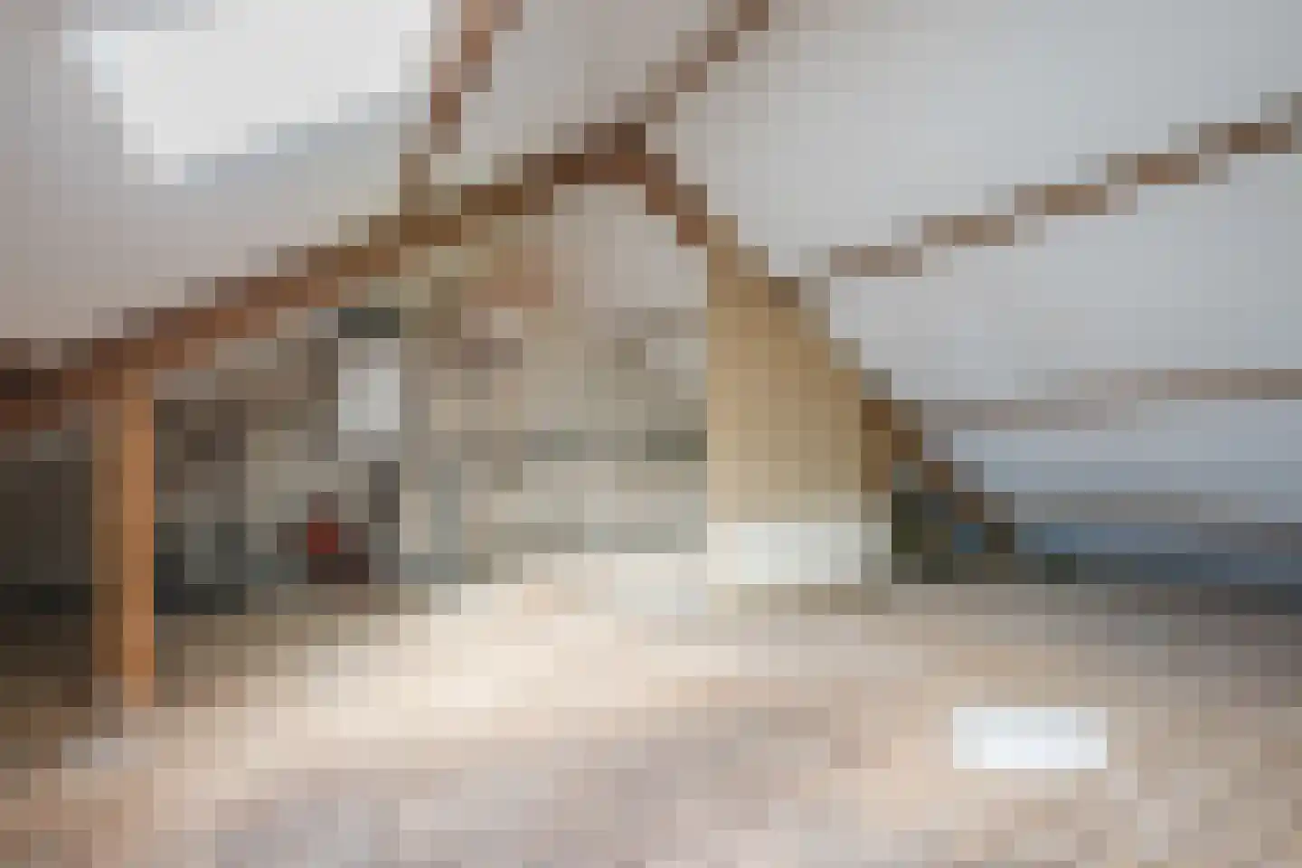 Dammans-Es 13 Dalfsen thumbnail 28