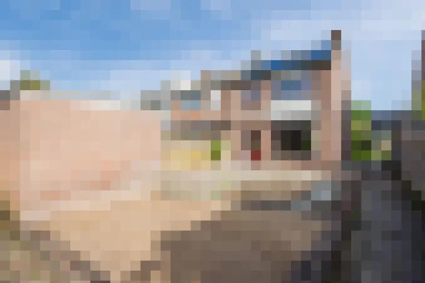 Dammans-Es 13 Dalfsen thumbnail 30