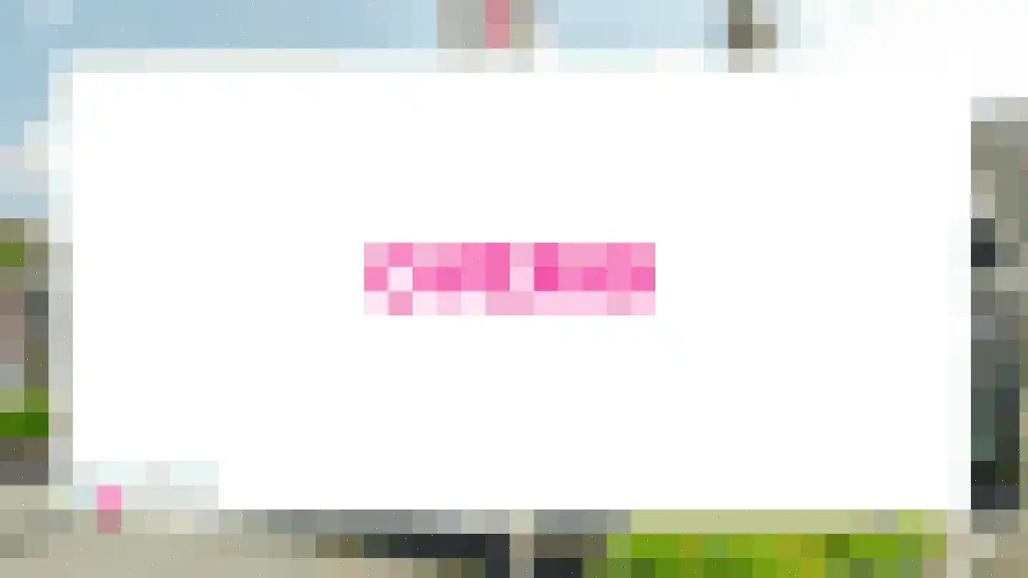 Dammans-Es 13 Dalfsen thumbnail 33