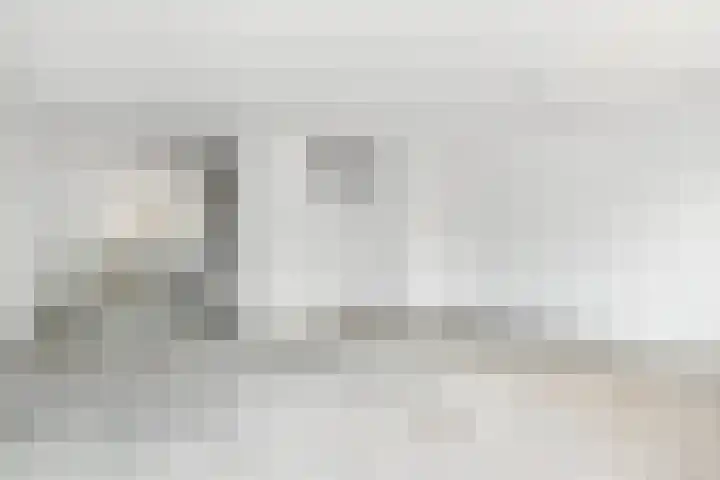 Dammaspolderpad 15 Gouda thumbnail 10