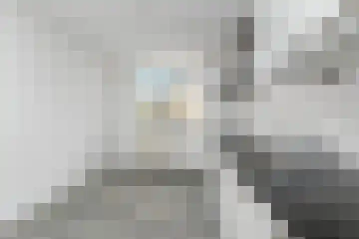 Dammaspolderpad 15 Gouda thumbnail 12
