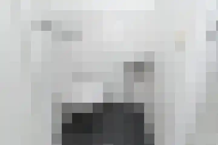 Dammaspolderpad 15 Gouda thumbnail 14