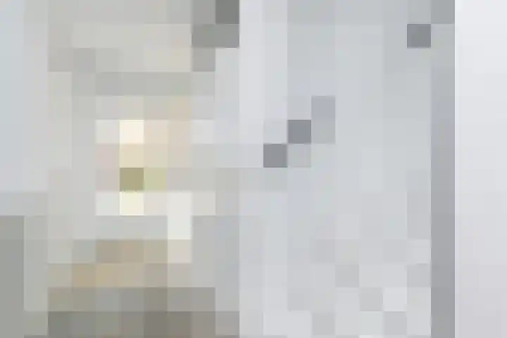 Dammaspolderpad 15 Gouda thumbnail 15