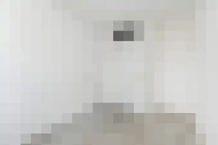 Dammaspolderpad 15 Gouda thumbnail 17