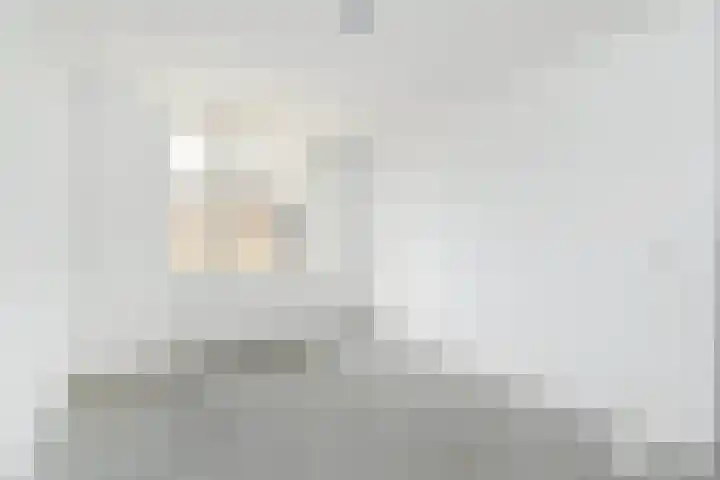 Dammaspolderpad 15 Gouda thumbnail 20