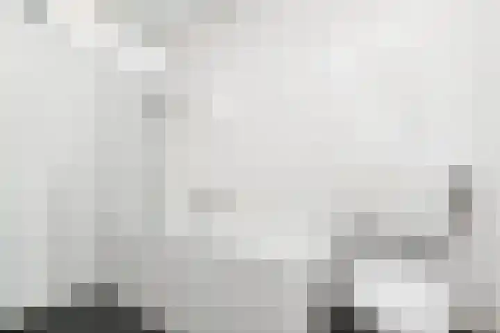Dammaspolderpad 15 Gouda thumbnail 23