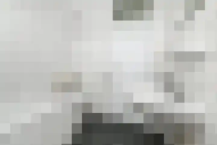 Dammaspolderpad 15 Gouda thumbnail 24