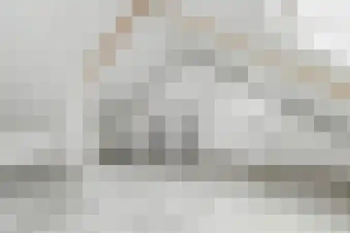 Dammaspolderpad 15 Gouda thumbnail 26