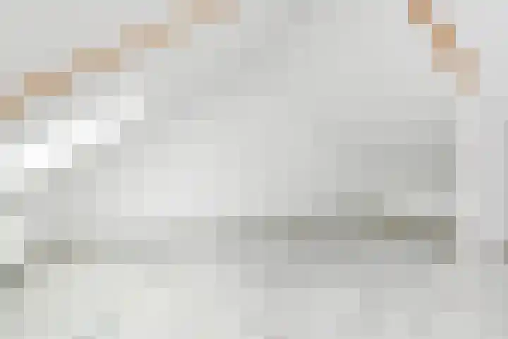 Dammaspolderpad 15 Gouda thumbnail 28