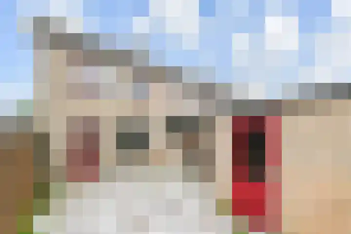 Dammaspolderpad 15 Gouda thumbnail 29