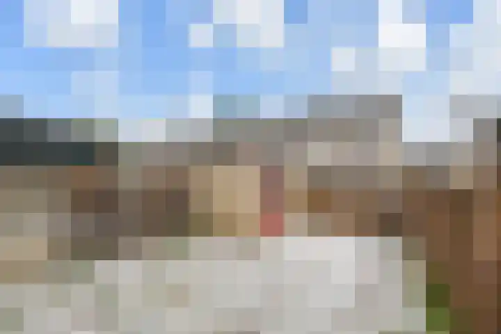 Dammaspolderpad 15 Gouda thumbnail 30