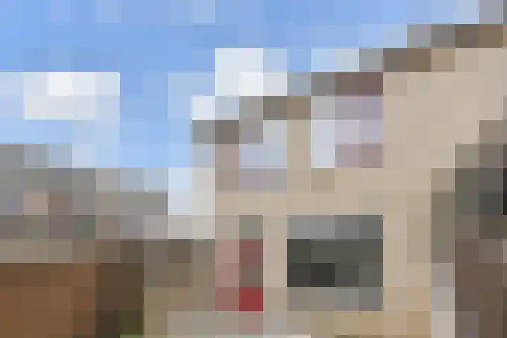 Dammaspolderpad 15 Gouda thumbnail 32