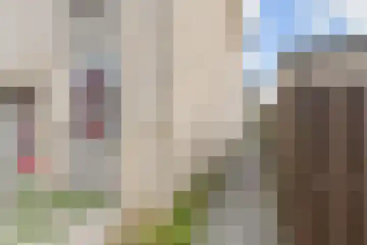 Dammaspolderpad 15 Gouda thumbnail 33
